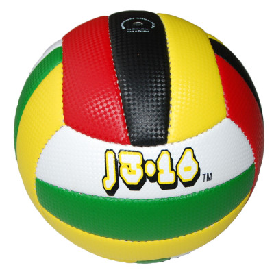 J316 Volleyball