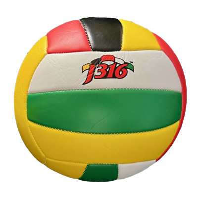 J316 Volleyball