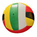 J316 Volleyball
